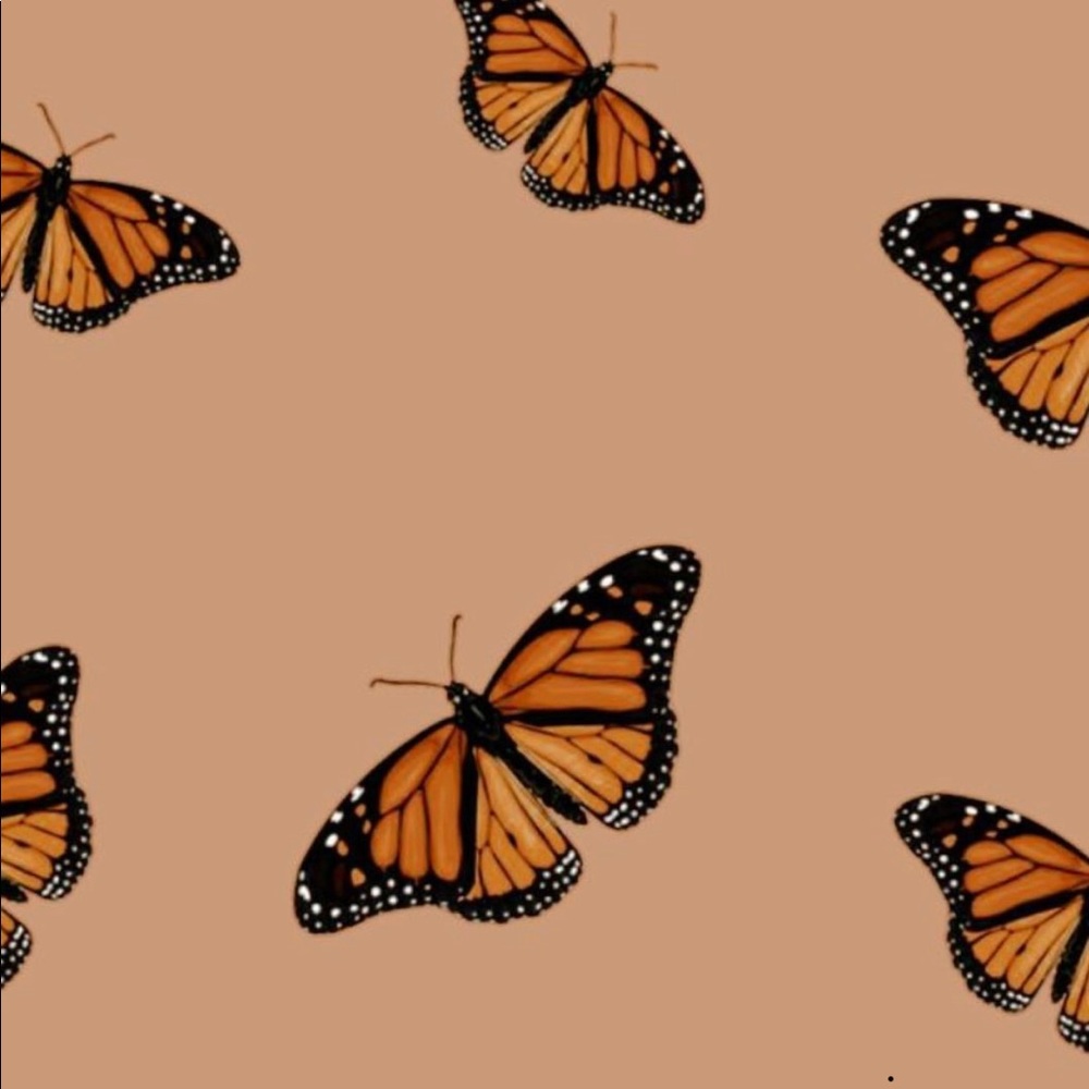 Meet your Posher, Jasmin